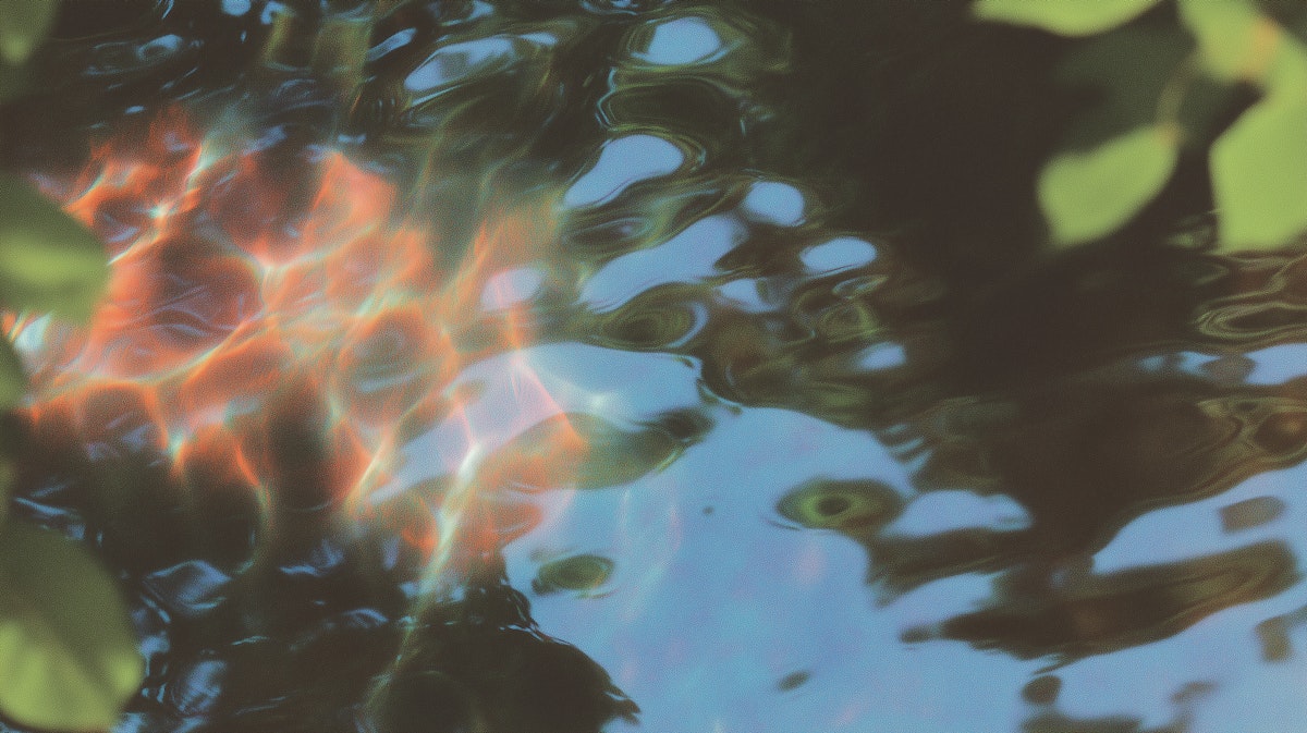 Abstract reflection of light on rippling water, with hints of leaves at the edges